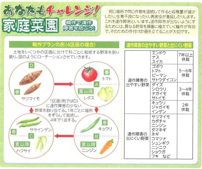 輪作で連作障害を防ごう！