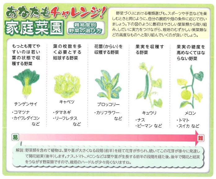 難易度別 野菜の選び方