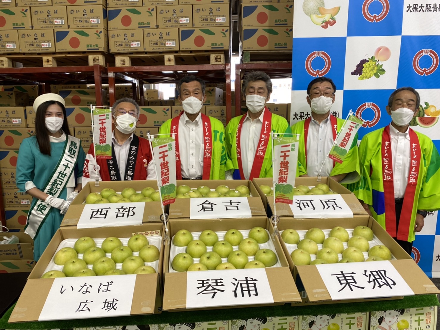 二十世紀梨」大阪の市場で初セリで10㎏箱20万円に！ - JA鳥取中央