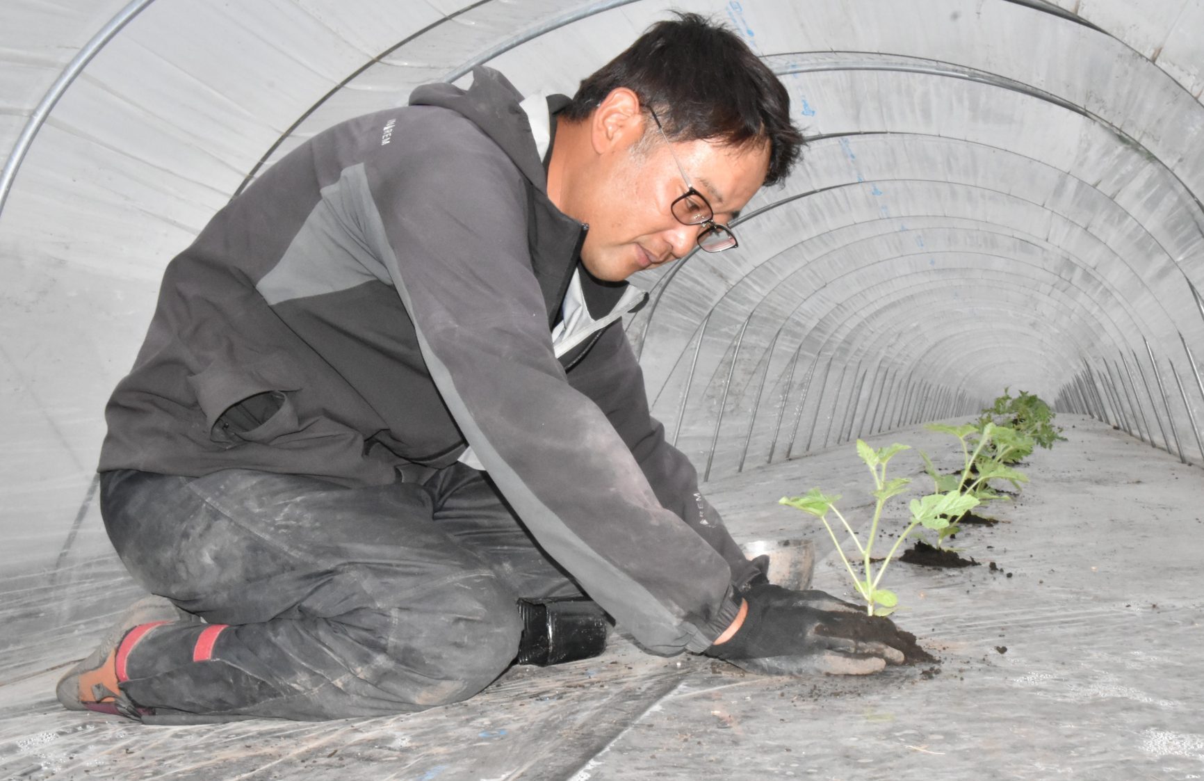 6/8初売り初物★西瓜の匠厳選鳥取ブランド西瓜(希少サイズ超超特大15.2kg) 6/8初売り初物☆西瓜の匠厳選鳥取ブランド西瓜(希少サイズ超