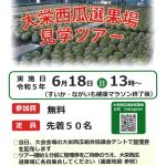 大栄西瓜選果場見学ツアー（令和５年６月１８日開催）