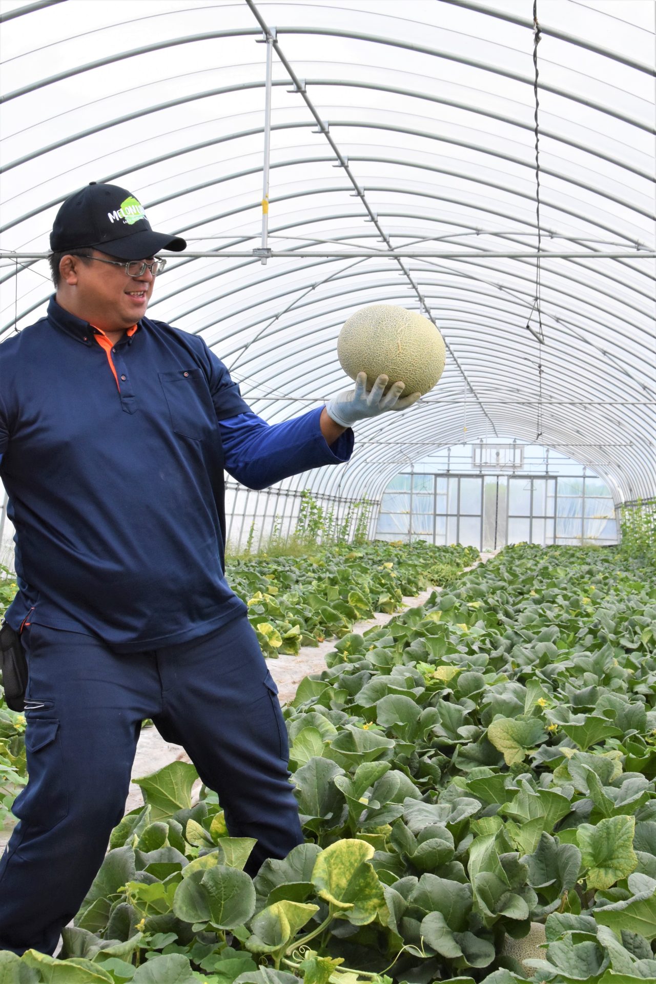 2fa67492180723a0cb3596fd120d19