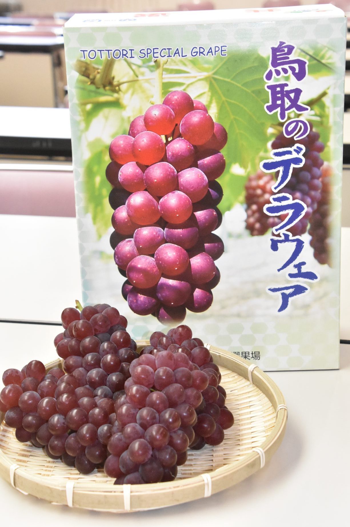 北条デラウェア査定会 最高糖度24.2⁉抜群の甘さに - JA鳥取中央