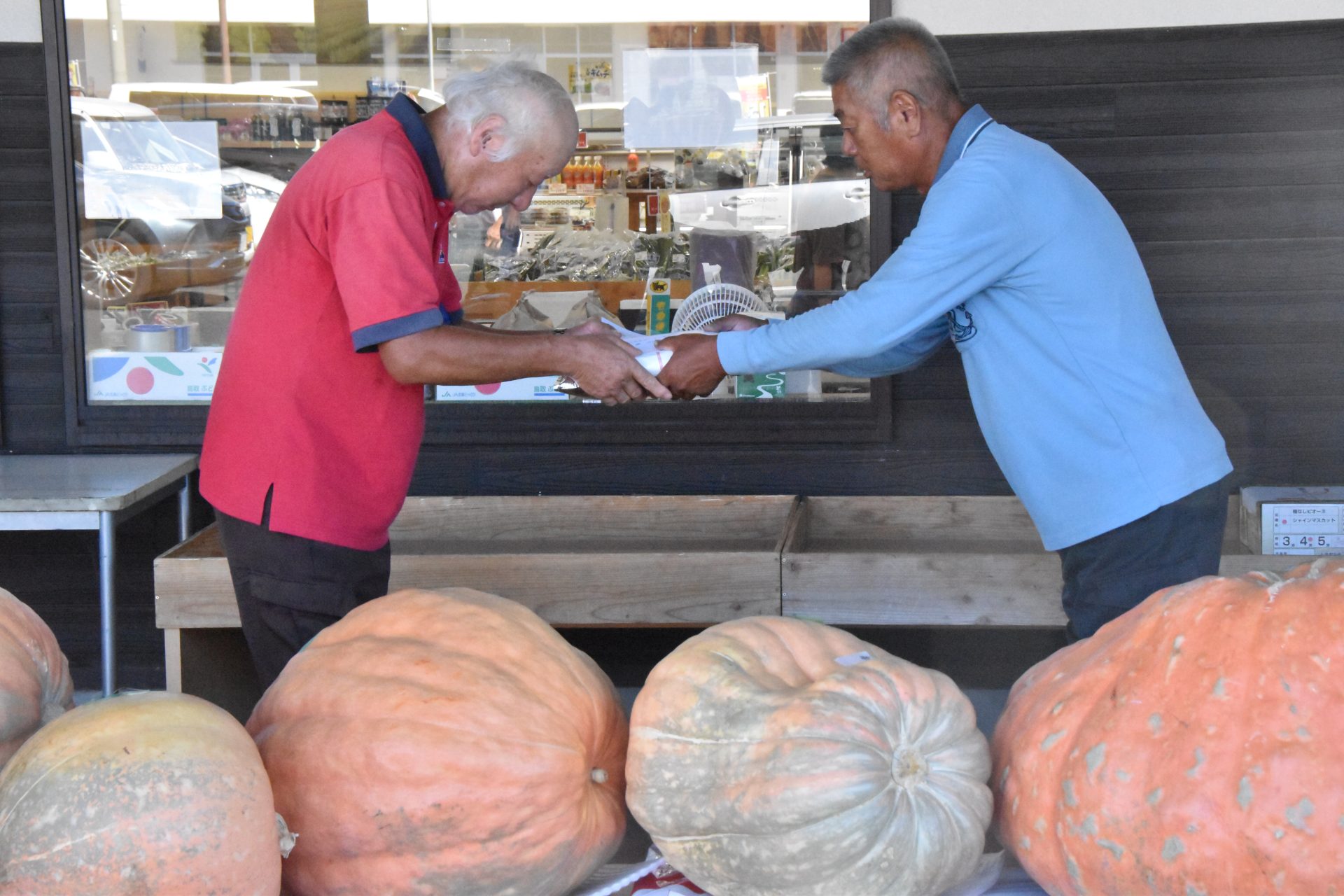 久しぶりの100kg越え ジャンボカボチャ披露 JA鳥取中央 - JA鳥取中央
