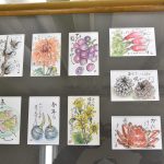 花や野菜、温かい筆致で絵手紙作成　北条支部文化部