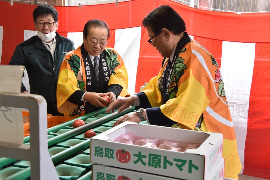 大原トマト」出荷開始 寒暖差で甘み凝縮 - JA鳥取中央