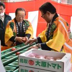 「大原トマト」出荷開始　寒暖差で甘み凝縮