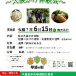【参加者募集！】琴浦梨産地体験会～大袋かけ～を開催します