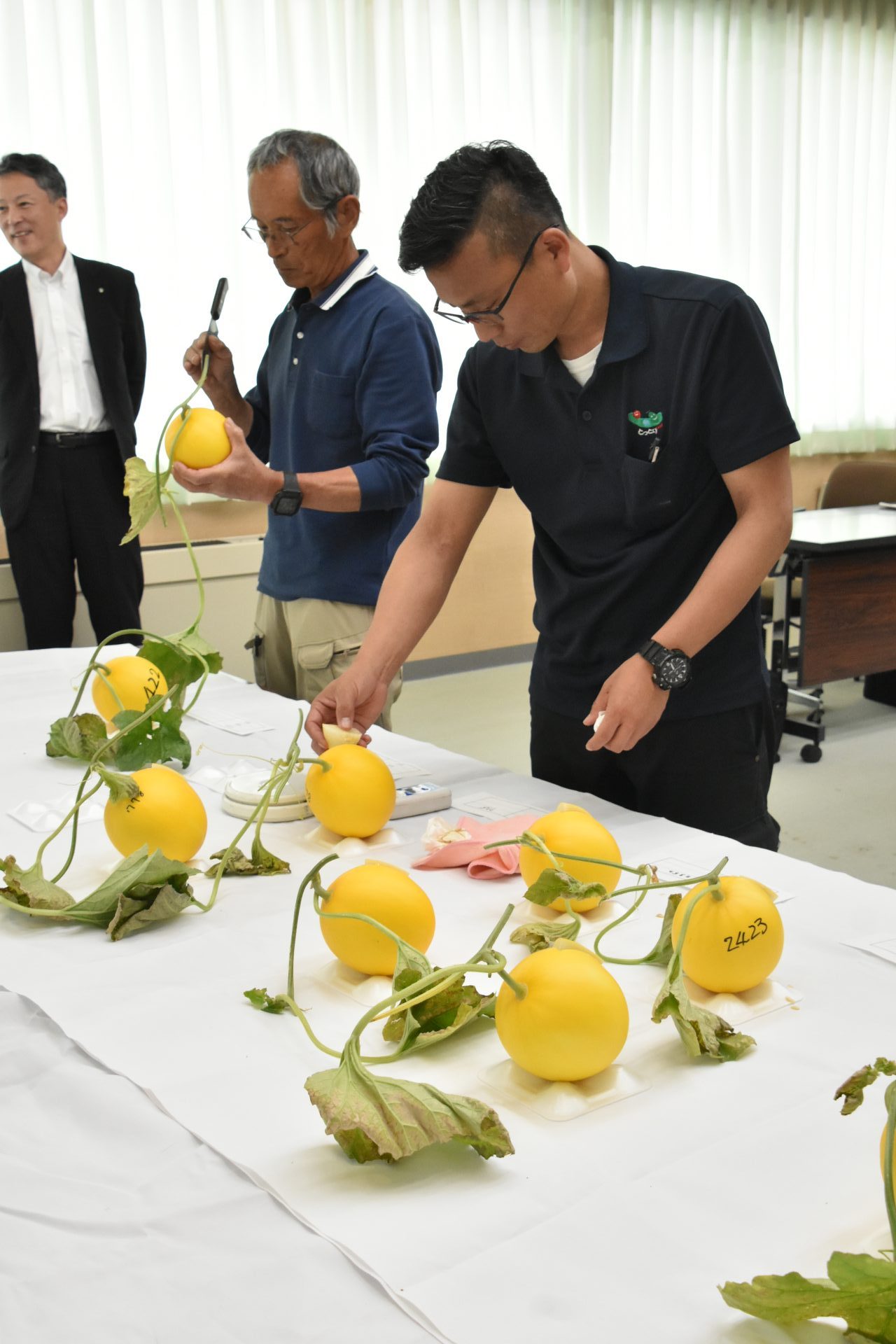 赤碕エリザベスメロン目合わせ会開催 爽やかな甘さと香りを楽しんで