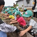 「もっと植えたい！」こどもたちがサツマイモの定植に奮闘　ＪＡ鳥取中央青壮年部湯梨浜支部