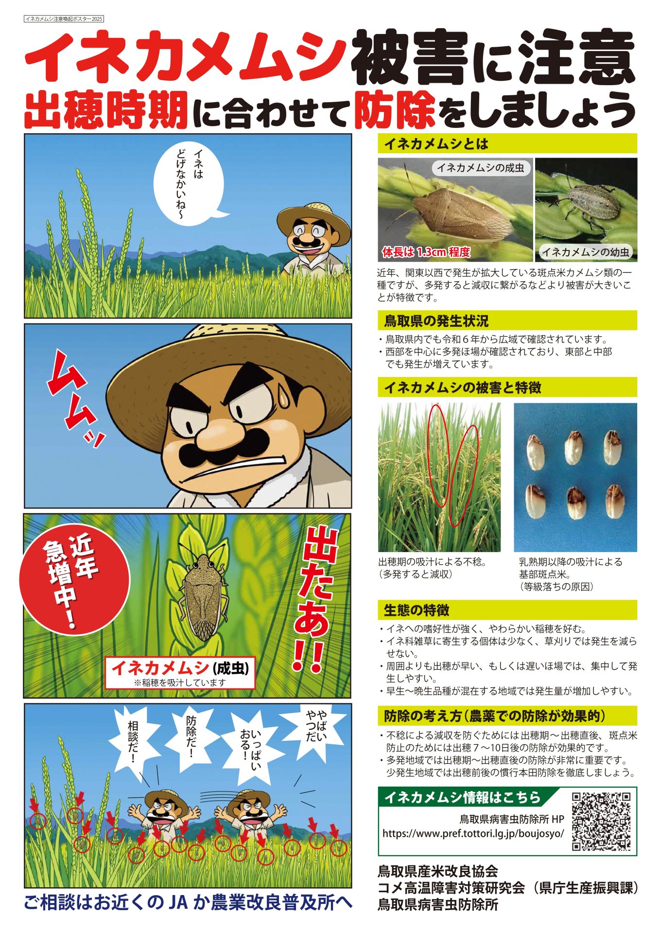 イネカメムシ被害に注意　出穂時期に合わせて防除しましょう