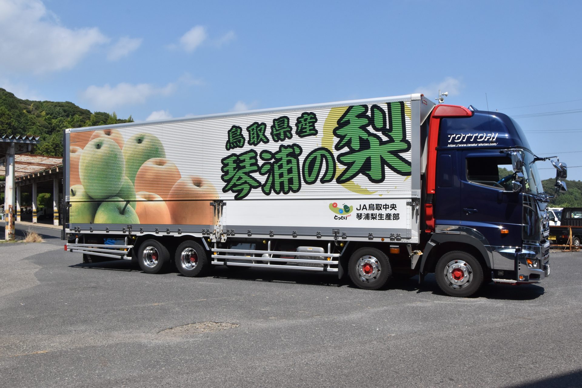 甘くてみずみずしい ハウス「二十世紀」出荷 JA鳥取中央琴浦梨生産部