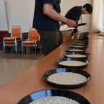 農産物検査員が鑑定技能を磨く