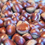 秋の味覚「ぽろたん」出荷開始