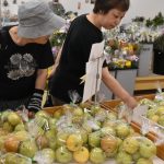 JA直売所で「シャ梨！シャ梨！梨祭り」を開催