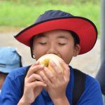 梨「二十世紀」と「新甘泉」の収穫を楽しむ