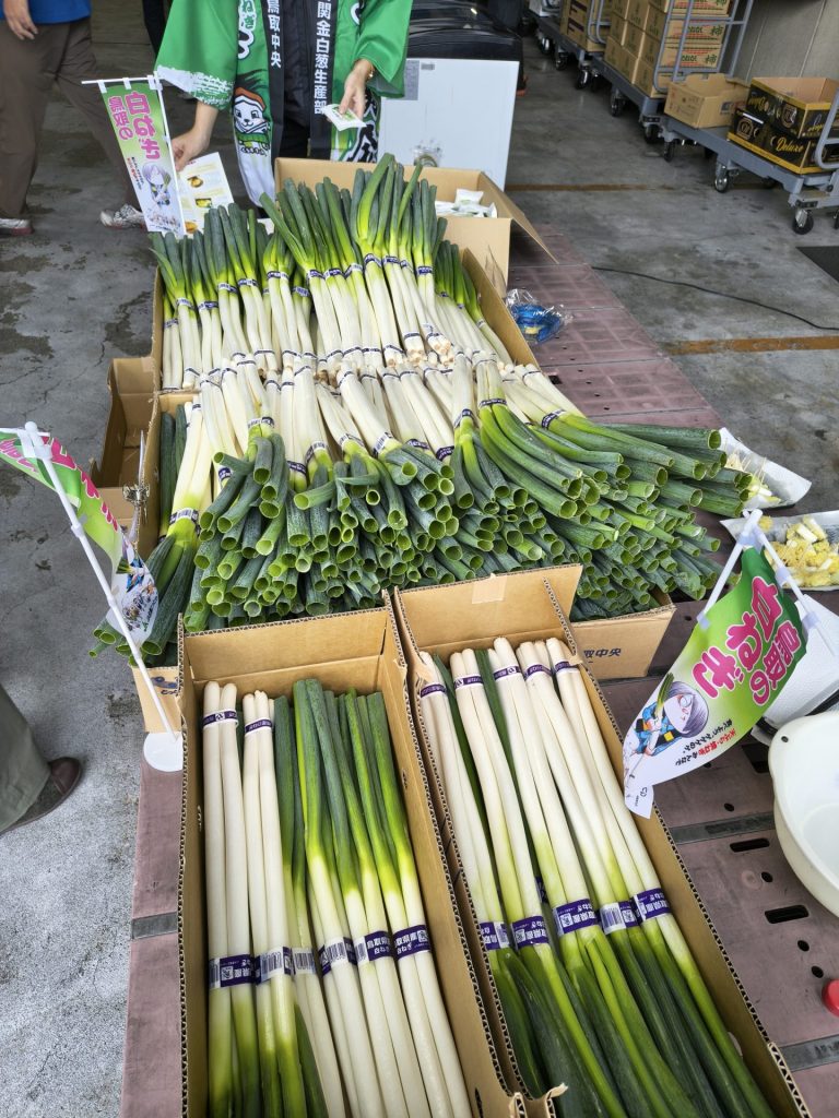 秋冬ネギ出荷開始！県外で試食宣伝販売をしてきました - JA鳥取中央