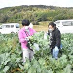 ブロッコリー収穫体験＆『家の光』レシピでブロッコリーを堪能