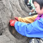 大栄小「ねばりっこ」収穫 収穫したものは給食に