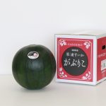 琴浦西瓜生産部会R7販売金額1.2億と好調