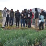 鳥取と岡山が交流 白ネギ栽培ノウハウ共有　ＪＡ鳥取中央倉吉関金白ねぎ生産部