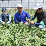 大栄西瓜の盗難防げ　北栄町でパトロール隊出発式　大栄西瓜組合協議会