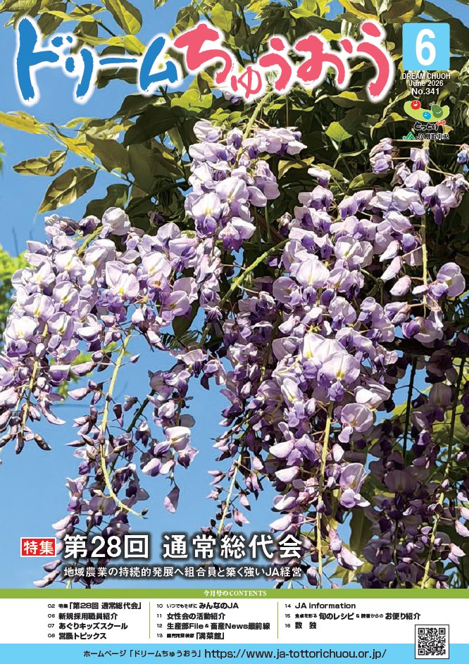 2026年6月