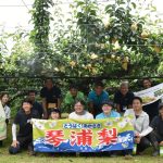 新規就農者の確保に向けて 琴浦梨大袋がけ体験会 琴浦梨生産部