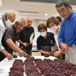 仕上がり十分 7月2日から初出荷 北条支所ぶどう生産部