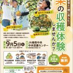 ≪参加者募集≫ 倉吉梨産地体験会~収穫体験・選果場見学を実施します~