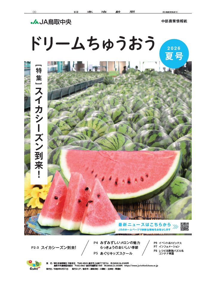 2026年夏号